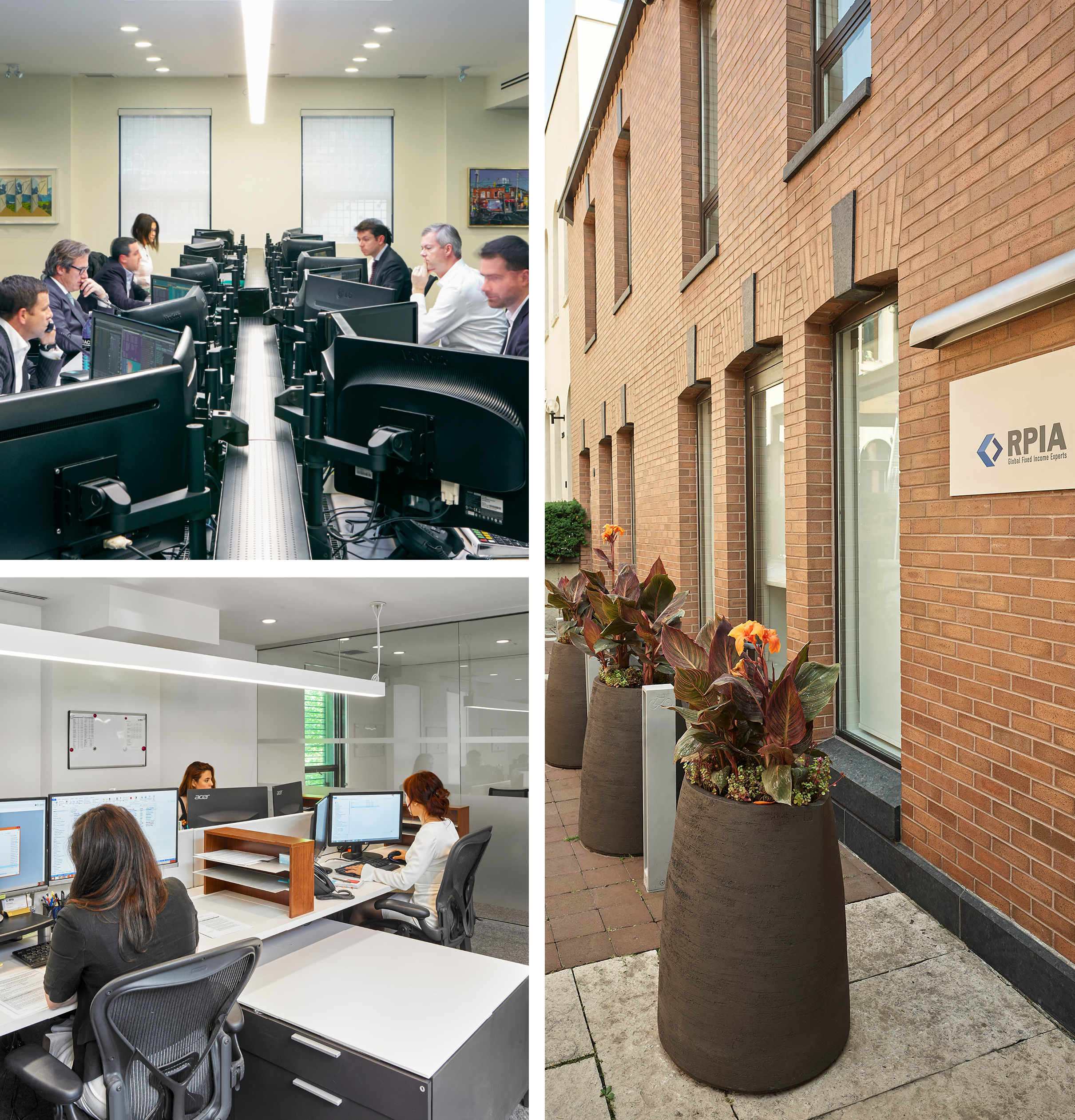 RPIA Office Collage