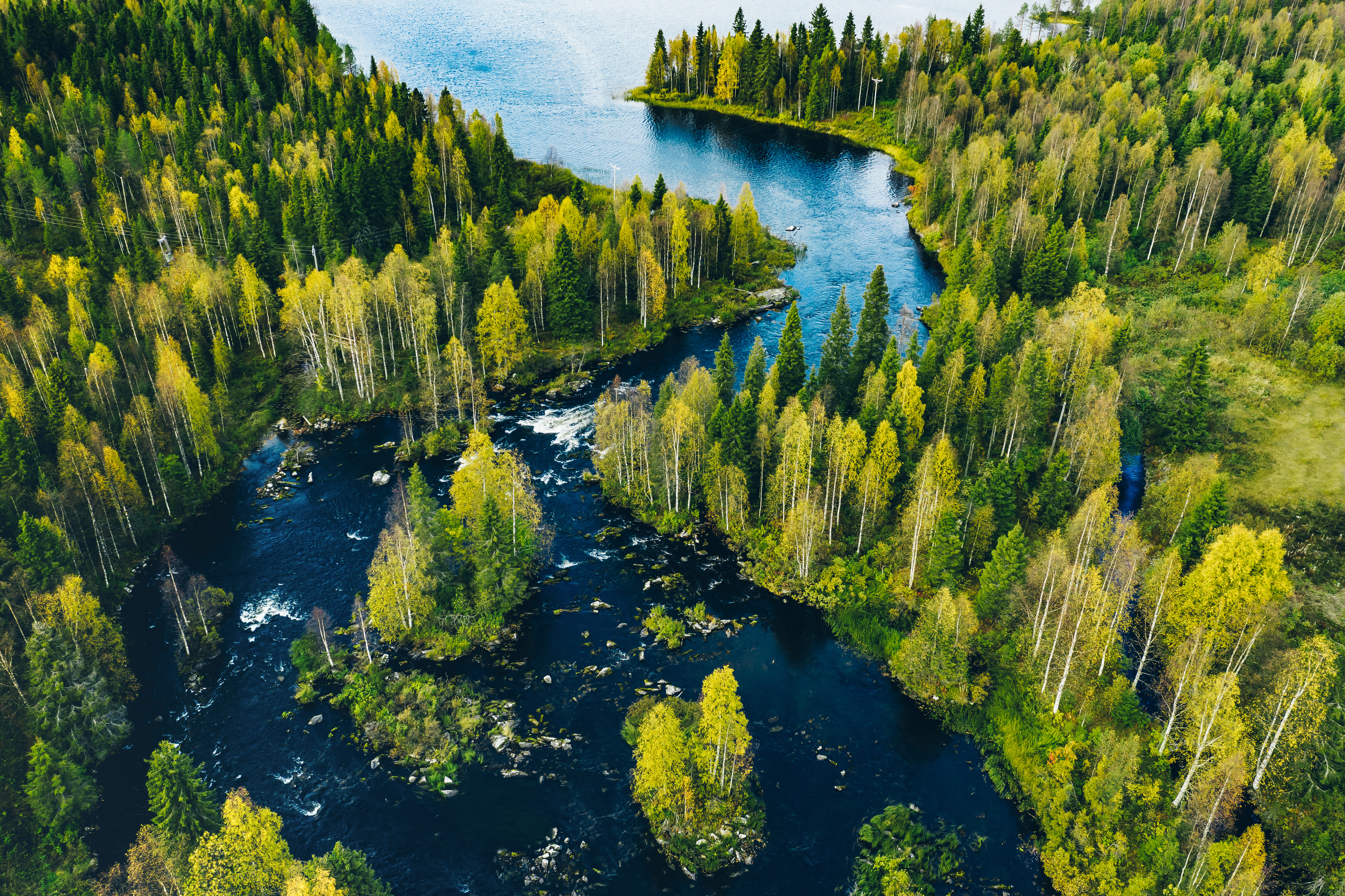 Aerial view of fast blue river in beautiful green spring forest