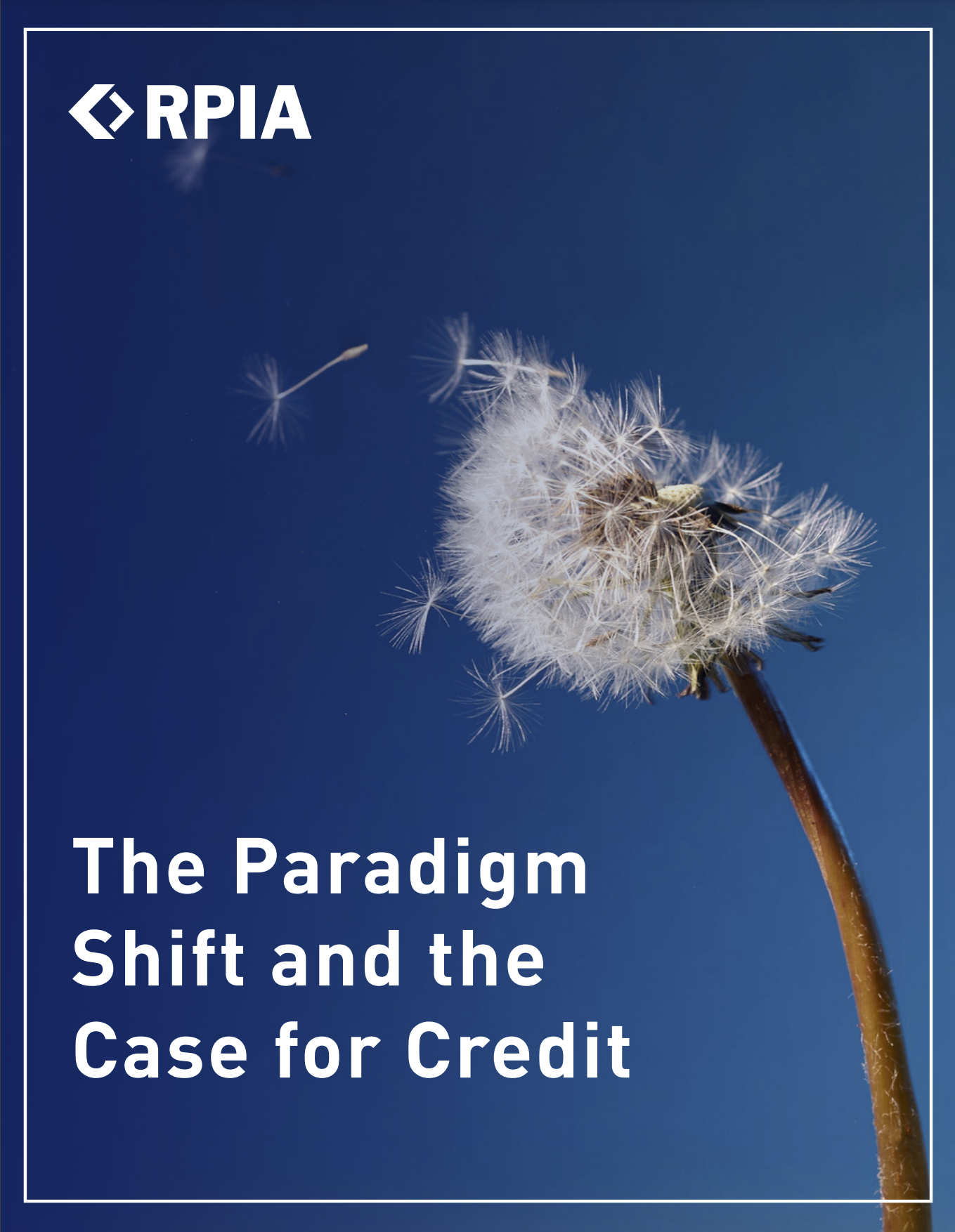 Cover page with a dandelion