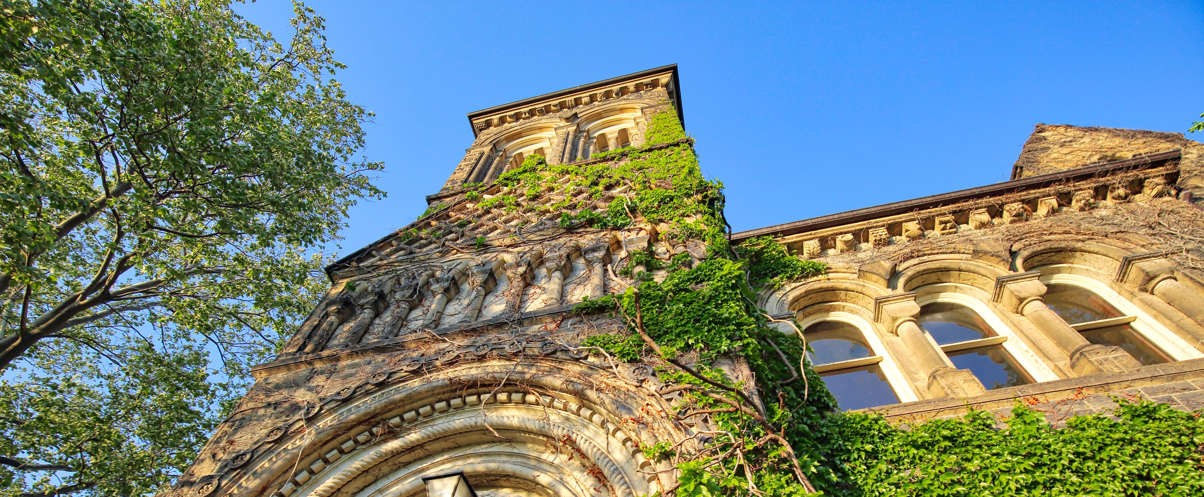 University of Toronto building covered in ivy vines