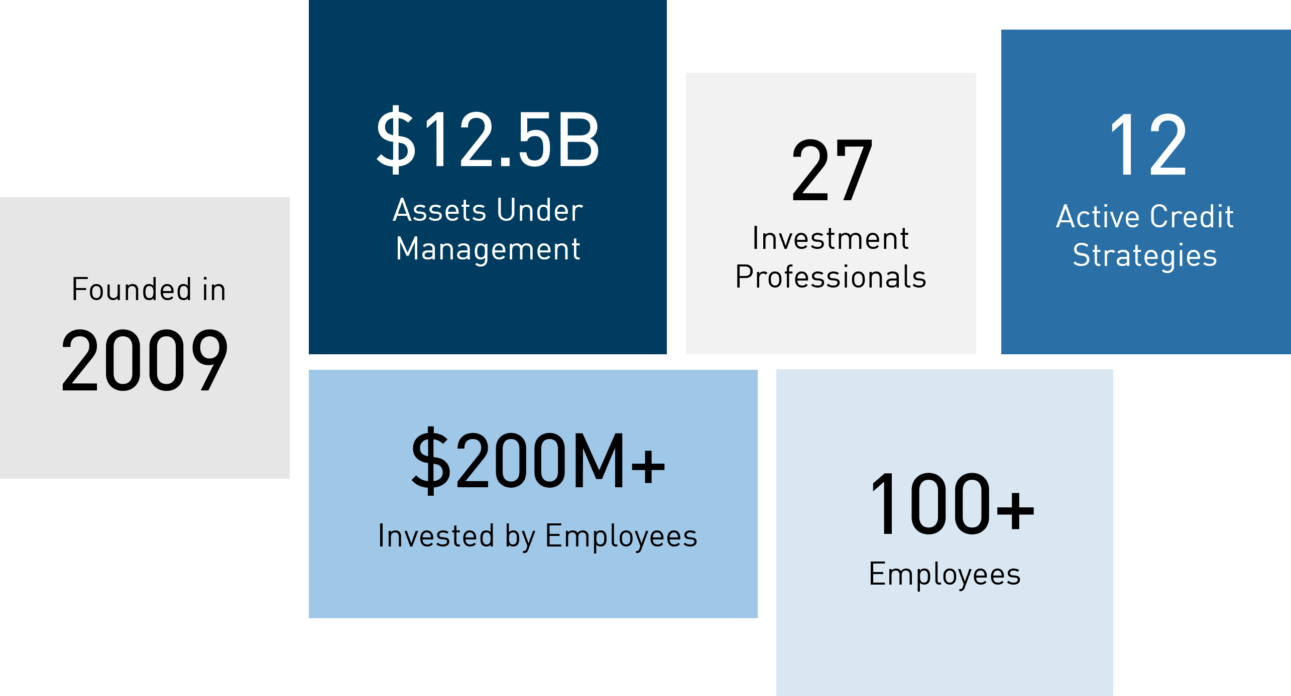 Firm Overview